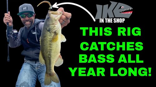 This Rig Catches Big Bass ALL YEAR LONG