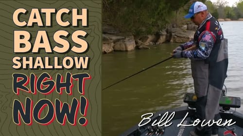 February BASS Fishing Tips (Bill Lowen Winter & Early Spring Cranking Secrets)[BEST Crankbait Lures]