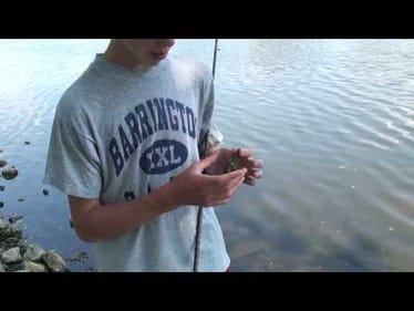 Close range craw pitchin' (FTMW Bass)