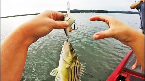 BEST Fishing BLOOPERS! | Fishing With Nordbye (HILARIOUS)
