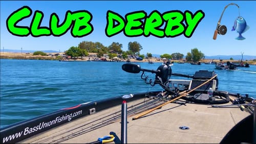 Club Tournament at the Local Pond | Summer Bass Fishing The Thermalito Afterbay