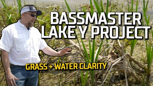 The impact of Vegetation and Water Clarity (Ep. 3 Bassmaster Lake Y Project)