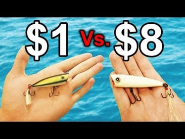 CHEAP Popper Vs. EXPENSIVE Popper -- Fishing Challenge