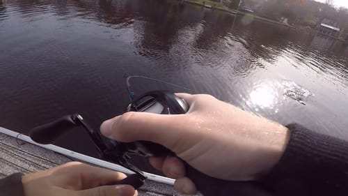 The Fishing Gods Were Kind This Day (Finally Some Luck!)