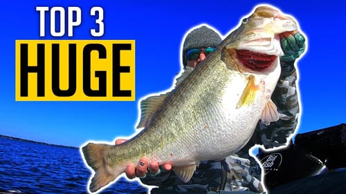 TOP 3 HUGE Largemouth BASS CAUGHT on CAMERA