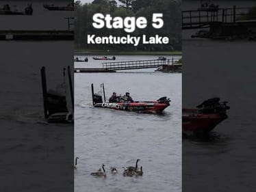MLF Stage 5 Kentucky Lake