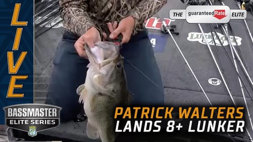 Patrick Walters lands another 8+ pounder on Lake Fork