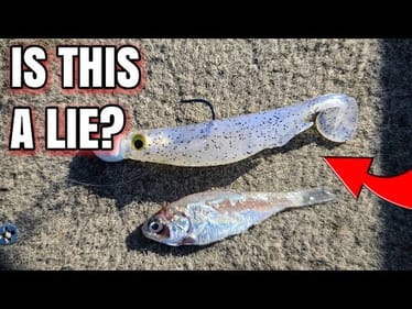 3 Fall Fishing LIES! | Or ARE They...