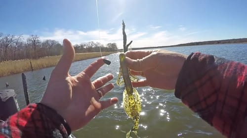 Early Season Bass Fishing Pattern
