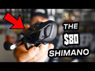 UNBOXING the $80 Shimano Caius Baitcaster | Trash or Treasure?