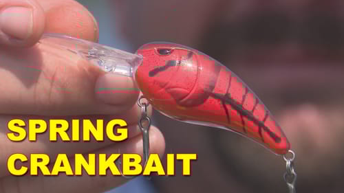 Spring Bass Fishing with Crankbaits with Drew Cook | Bass Fishing | How To