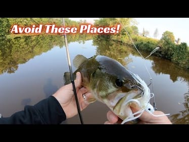 Avoid Fishing These Areas! They STINK!
