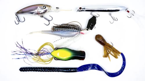 Bass Fishing: Top 10 Baits Of 2021!