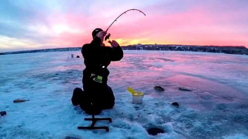 Ice Fishing For EVERYTHING That Bites!