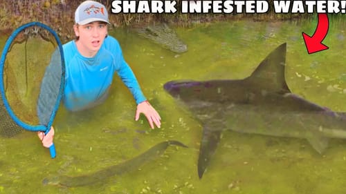 I Found a Pond INFESTED with Monster Sharks!