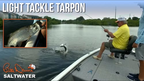 Light Tackle Tarpon | Bill Dance Saltwater