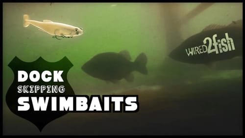 Skipping Swimbaits for Dock Bass | Zaldain’s 5 Tips for Success