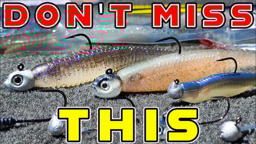 This New Strolling Technique Has Taken Over Bass Fishing!