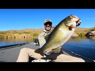 MONSTER BASS: Giant Catches You Won’t Believe!!