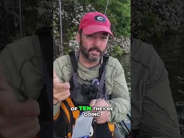 Master the Spinner Bait: Catch More Fish with This Simple Trick!
