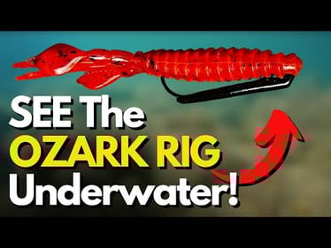 What Does the Ozark Rig REALLY Do Underwater? (3 Different Retrieves)