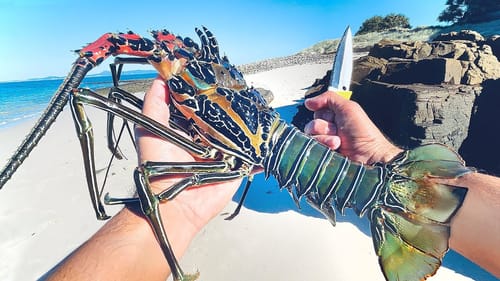 Lobster Catch And Cook, Surviving From The Ocean - SOLO CAMPING An Uninhabited Island - Part 1