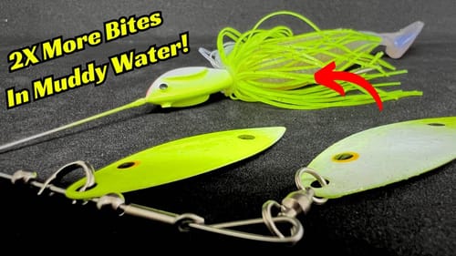 How To Double Your Bites When Fishing Muddy Water!