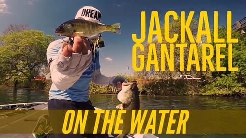 Fishing the Jackall Gantarel Swimbait in Texas - Cast to Catch