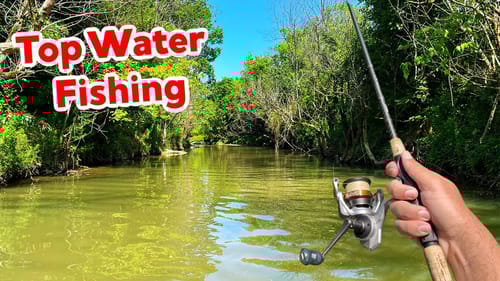 Topwater Blowups while Creek Wading