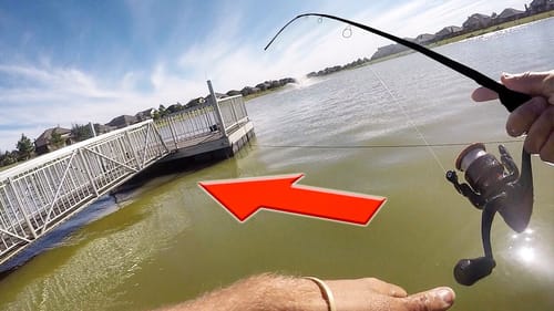 Casting WAY UNDER A DOCK to catch BIG FISH!!!