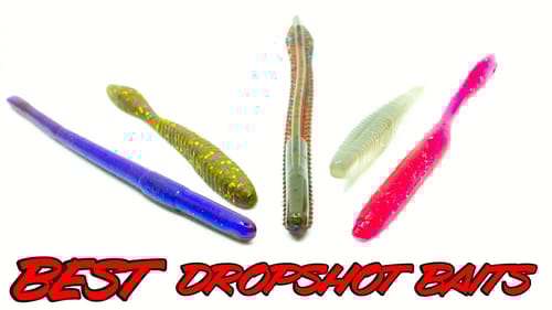 Underwater Dropshot Footage! Best Dropshot Worms For Bass Fishing!