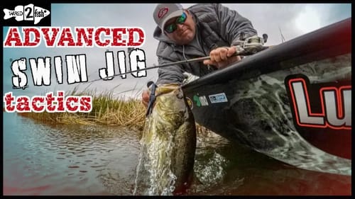 Advanced Swim Jig Tactics for More Consistent Bass Fishing