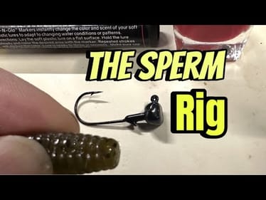 The SPERM RIG Will Get You A QUICK Limit Of Bass Under Tough Fishing Conditions…