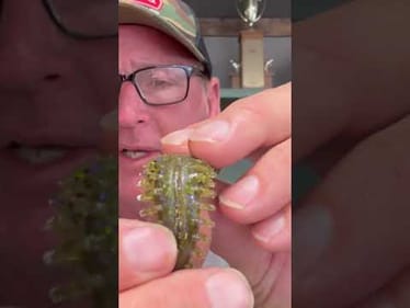 Plastic Worm Modification Trick