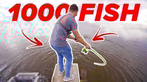 Fisherman's Paradise - INSANE Day of Fishing (MUST WATCH)