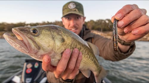 I SHOULD USE THIS BAIT MORE! (Fall Finesse Fishing for Bass)