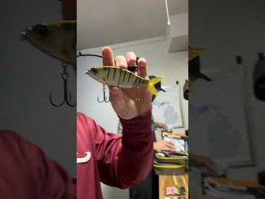 Best BASS Baits of 2024: HARD BAITS