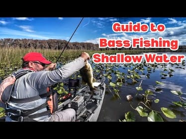 Tips and Tricks to Bass Fishing in Shallow Water