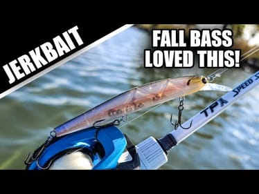 STRUGGLING to Catch Bass NOW?... Throw THIS!