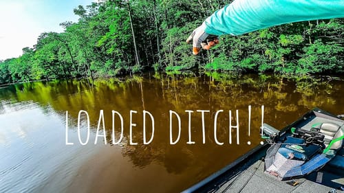 I FOUND a LOADED DITCH While FISHING a BASS TOURNAMENT!!! || Did We Win??