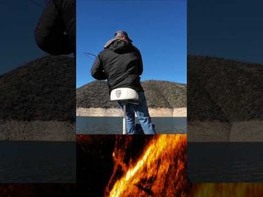 Quick jig head minnow bite 🎣 Dobyns 741 + BU Sharp Shooter. Full setup in the video #bassunion