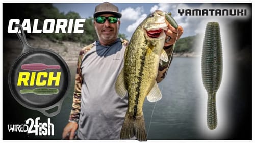 Yamamoto Yamatanuki: Your New Bass Fishing Secret