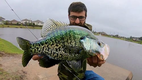 I FOUND HUGE FALL CRAPPIE!