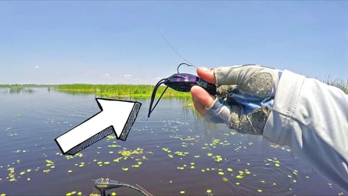 NIGHTMARE tournament practice FROG fishing & PUNCHING Lake Okeechobee