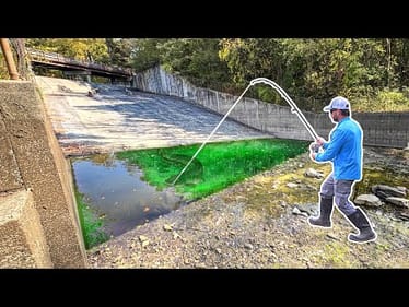 I Uncovered a CONCRETE PIT that was FULL OF FISH!!! (Surprise Catch!)