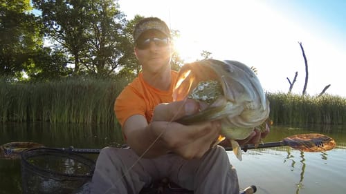Frog Bassin'