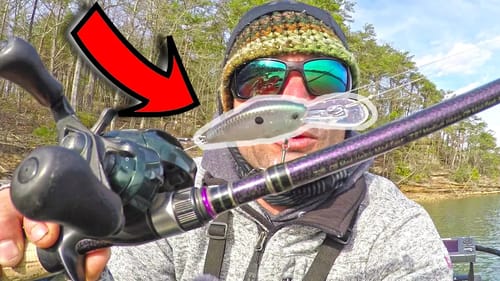 STRIKE KING KVD Flat Side CRANKBAIT Review & Real FISHING TEST