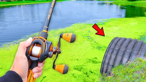 RECORD Day of POND Fishing! (LOADED w/ GIANT Bass)