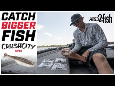 Connell's OVERLOOKED Tip for Catching BIGGER Fish