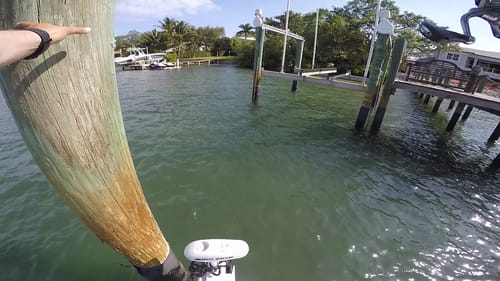 I Don't Know How I Got This Fish Out of the Dock